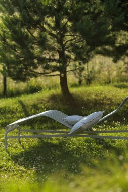 Bahçedeki çimlerin üzerinde çiçek açan beyaz yoncalar. Çiçekli ekoloji doğa manzarası. Çimlerin arasında beyaz yonca çiçekleri. Peyzaj tasarımı konsepti. Vahşi yaşam konsepti kaydediliyor.
