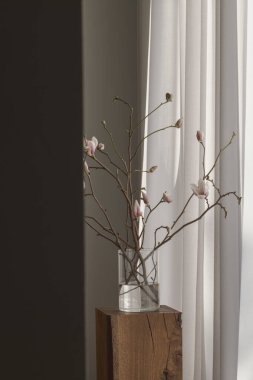 Temiz cam vazodaki bir manolya dalı Japonya 'nın iç kısımlarındaki bir meşe ağacının gövdesine dayanır. Yumuşak çiçekler ve ılık odun huzurlu, minimalist bir atmosfer yaratır..