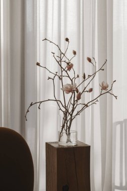 Temiz cam vazodaki bir manolya dalı Japonya 'nın iç kısımlarındaki bir meşe ağacının gövdesine dayanır. Yumuşak çiçekler ve ılık odun huzurlu, minimalist bir atmosfer yaratır..