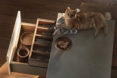 Bu büyüleyici wabi-sabi mutfağında mutfak adasının üzerinde keten bir havlunun üzerinde uzanan açık bir tezgah ve çatal bıçaklarla donatılmış kahverengi ve gri gölgelerle süslenmiş bir kedi yavrusu var.
