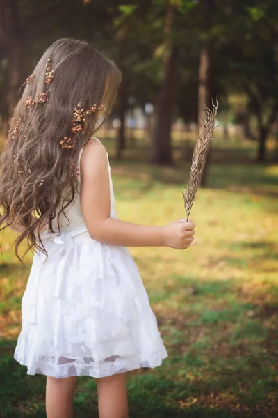 穿着白衣的小女孩 背着童话般的童话故事 模仿空间 儿童节的主题 免版税图库照片