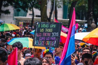 Mexico, Mexico City, 29 Haziran 2024, LGBT + Pride topluluğu Mexico City 'de yürüyüş yapıyor. İspanyol posteri. Çeşitlilik ve eşitliği kutlayan bir gün. Çok renkli kadın ve erkeklerin portresi