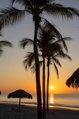 Panama 'nın batı kıyısındaki palmiye ağaçlarının arkasında gün doğumu. Turuncu renkli gökyüzü.