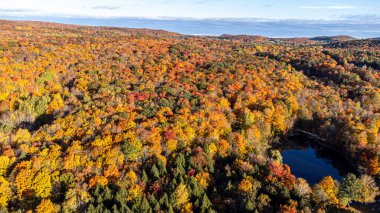 Sonbaharda dağların ve renkli ağaçlarının drone görüntüsü. Saint Melanie, Lanaudiere, Quebec, Kanada üzerinden uçuş.