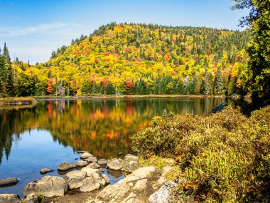 Sonbaharda renkli dağın göl yüzeyinde çok renkli bir yansıma. Sonbahar manzarası.