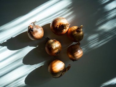 Siyah arka planda bir sürü taze organik soğan yakın çekim.