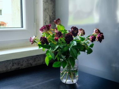 Pencere kenarında vazoda bir buket gül.