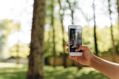 Bir kişi parka bakarken film çekiyor. Arka planda bir park ve bir sürü ağaç da görebiliyoruz. Yürüyüş yaparken telefonunda bir şey yapıyor. Hava güzel..