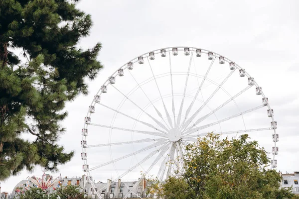 Ferris Wheel Big Tree Cloudy Windy See Big Wheel Amusement — Stock Photo, Image