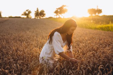 Mısır tarlasında duran güzel bir kadın var. Beyaz bir gömlek giyiyor ve harika görünüyor. Güneş ışınlarını görebiliyoruz. Kızın arkasında büyük bir mısır tarlası var..