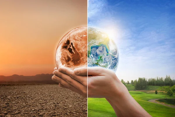 Hands Protect Forests Grow Ground Help World Global Warming Concept — Stock Photo, Image