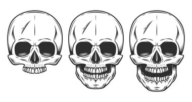 Skull set monochrome illustration on white background