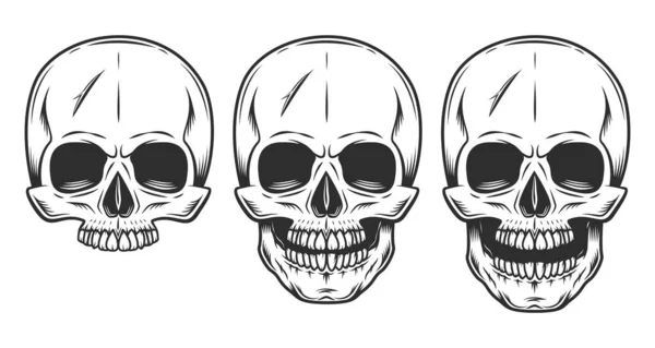 Skull Set Monokrom Illustration Vit Bakgrund — Stockfoto