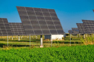 Katalonya, İspanya 'da bir alandaki bir grup güneş paneli.