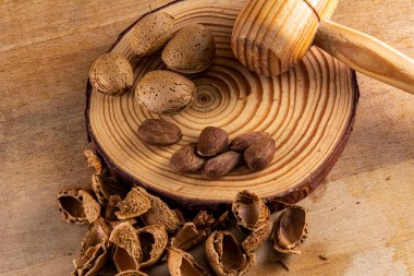 Ağacın üzerinde, topuz ağacıyla badem yapmaya başladım. Sıcak ve kırsal atmosfer.