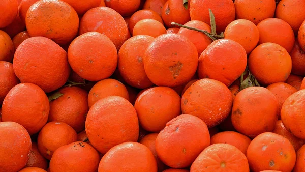 Πορτοκάλια Μια Αγορά Της Berga Καταλονία Ισπανία — Φωτογραφία Αρχείου