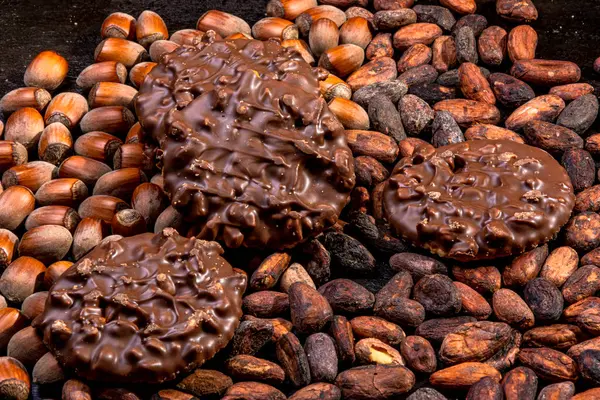 Biscuiți Înmuiați Ciocolată Bucăți Alune Compoziție Boabe Cacao Fotografie Studio — Fotografie, imagine de stoc