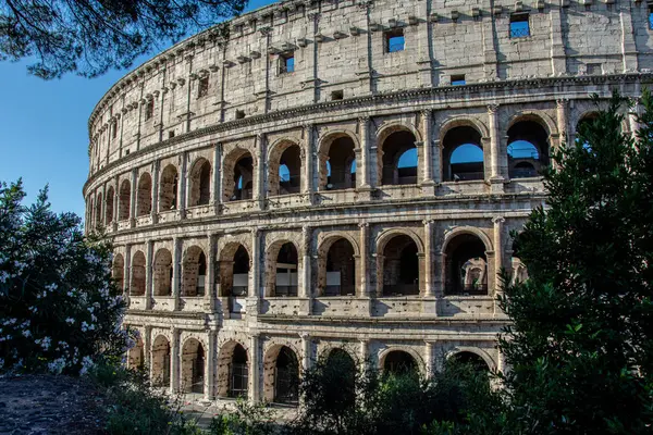 Achterkant Van Het Colosseum Rome Italië — Stockfoto