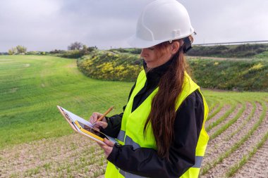 Güvenlik kaskı ve yelek giyen kadın tarım mühendisi ekili alanda yeşil enerji ekinlerini incelerken panoya ve akıllı telefona not alıyor.