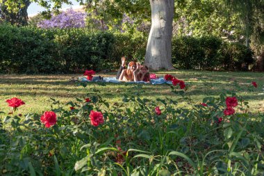 Anne ve kızı parkta bir battaniyeye uzanmış, kulaklıkla müzik dinlerken, yaz gününün tadını çıkarıyorlar, canlı kırmızı güller ve yemyeşil çiçeklerle çevrili.