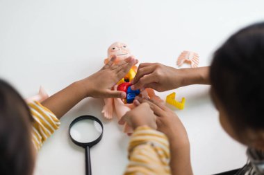 İki kardeş çocuklar için anatomi çalışıyor. İnsan organları ve iskelet parçaları oyuncakları. Her bölümün tıbbi terimleri, düzeni ve konumu öğreniliyor. evde..