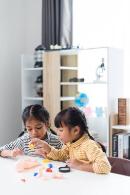 İki kardeş çocuklar için anatomi çalışıyor. İnsan organları ve iskelet parçaları oyuncakları. Her bölümün tıbbi terimleri, düzeni ve konumu öğreniliyor. evde..