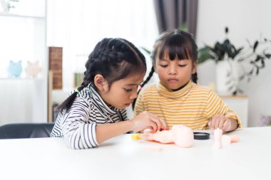 İki kardeş çocuklar için anatomi çalışıyor. İnsan organları ve iskelet parçaları oyuncakları. Her bölümün tıbbi terimleri, düzeni ve konumu öğreniliyor. evde..