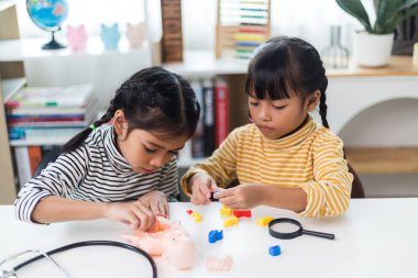 İki kardeş çocuklar için anatomi çalışıyor. İnsan organları ve iskelet parçaları oyuncakları. Her bölümün tıbbi terimleri, düzeni ve konumu öğreniliyor. evde..