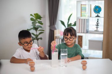 İki çocuk su ve yumurtalarla ilgili bir bilim deneyiyle oynuyorlar. Kadehleri tuzlamak için kaşık kullanıyorlar.