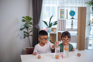 İki çocuk su ve yumurtalarla ilgili bir bilim deneyiyle oynuyorlar. Kadehleri tuzlamak için kaşık kullanıyorlar.