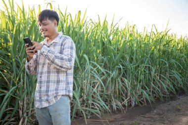 Bir adam elinde cep telefonuyla bir tarlada duruyor. Gülümsüyor ve eğleniyor.