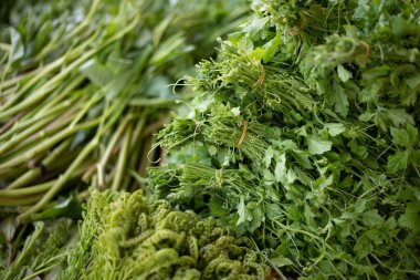 Bir insan elinde bir sürü yeşil sebze tutuyor. Sebzeler taze ve sağlıklı görünüyor. Taze ürünleri seven biri gibi görünüyor.