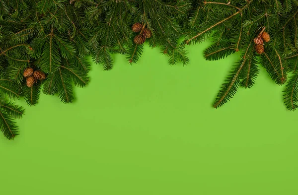Sluiten Van Verse Sparren Dennen Kerstboom Takken Met Kegels Groene — Stockfoto