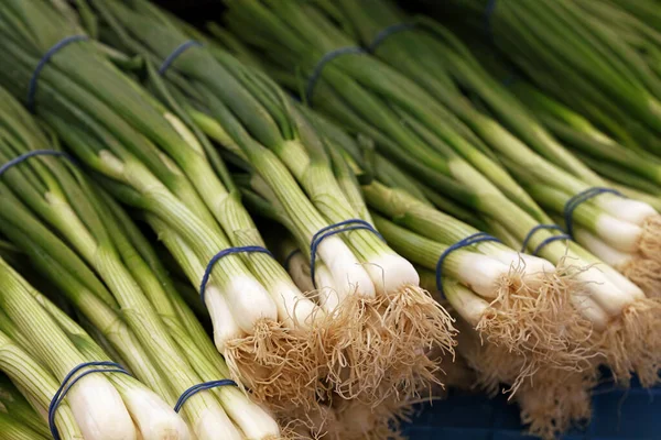 Heap Fresh Green Spring Bunch Onion Scallion Chive Farmers Market — Stock Photo, Image