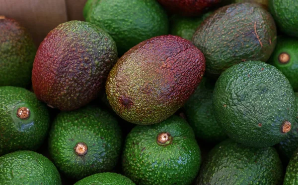 Çiftçi Pazarının Perakende Vitrininde Yeşil Mor Avokado Yemeye Hazır Pek — Stok fotoğraf