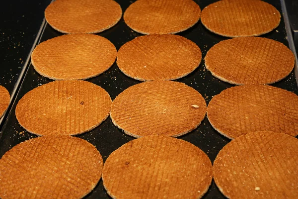 stock image Close up many freshly baked traditional round shaped sweet Dutch stroopwafel (syrup waffles) cookies on baking pan, high angle view