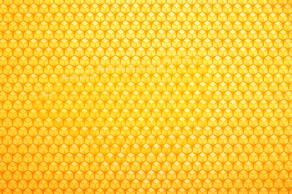 新鮮な黄金の櫛蜂蜜の背景のテクスチャを閉じます フルフレームハニカムパターン ストック画像