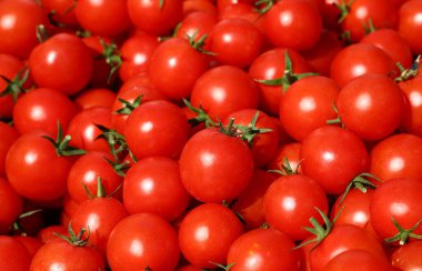 Çiftçi pazarının perakende vitrininde taze kırmızı domatesleri kapatın.