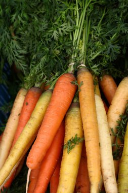 Çiftçi pazarının perakende satışında taze yıkanmış turuncu ve sarı yeni çiftlik havucu demetlerini kapatın.