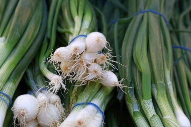 Bir yığın taze yeşil soğan, soğan ya da soğan çiftçi pazarı vitrininde, yakın çekim, yüksek açı