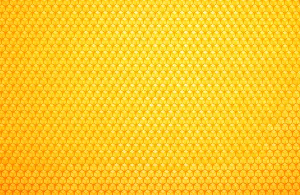 新鮮な黄金の櫛蜂蜜の背景のテクスチャを閉じます フルフレームハニカムパターン ストックフォト