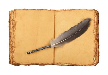 Boş kahverengi kağıt parşömen sayfaları, antika tüy kalem ve beyaz arkaplanda izole edilmiş kopya alanı olan eski bir kitabı kapat