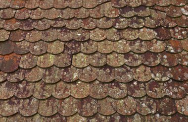 Yıpranmış, yosun kaplı çatı fayanslarının yakın görüntüsü karmaşık, dokulu bir kalıp oluşturarak zamanın ve doğanın geleneksel yapı malzemeleri üzerindeki etkilerini gözler önüne seriyor.