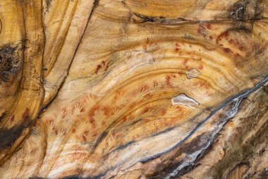 Avustralyalı Aborjin el şablonları Sydney bölgesindeki bir kumtaşı mağarasında..