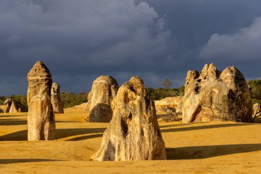 Zirveler Çölü, Nambung Ulusal Parkı Batı Avustralya