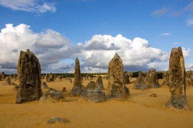Zirveler Çölü, Nambung Ulusal Parkı Batı Avustralya
