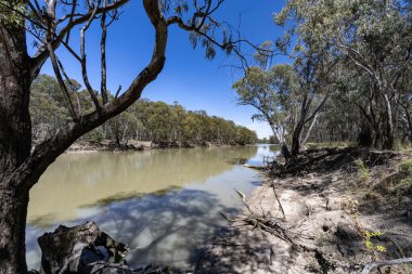 Murrumbidgee Nehri, Yeni Güney Galler Avustralya