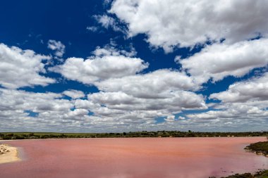 Hardy Gölü, Pembe Göller Murray Günbatımı Ulusal Parkı, Victoria Avustralya