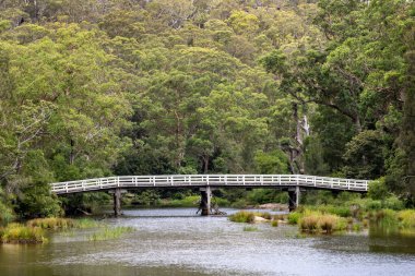 Varney Köprüsü, Hacking Nehri üzerinde, Kraliyet Ulusal Parkı Sydney Yeni Güney Galler Avustralya