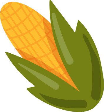 Şükran Günü vektörünü kutlamak için mısır bitkisi. Mısır tarımsal sebze hasadı mevsimsel sonbahar tatilini kutlamak ve ailesiyle yemek yemek için. Yemek yassı karikatür çizimi